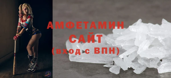 сатива Алзамай