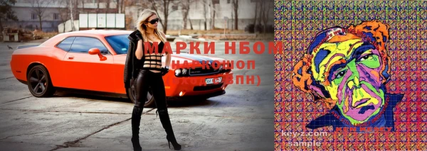 крисы Арсеньев