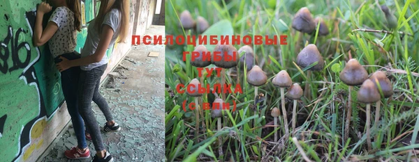каннабис Алексеевка