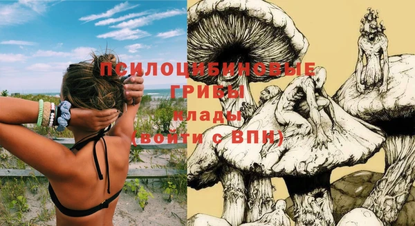 крисы Арсеньев