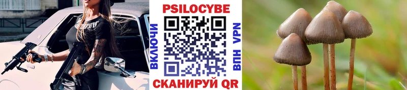 Галлюциногенные грибы MAGIC MUSHROOMS  купить   Мытищи 